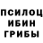 Галлюциногенные грибы Magic Shrooms Miroslav Dunjic